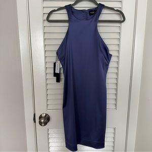 NWT Ten by Babaton (Artizia) dress